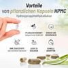 Bio Mariendistel - 300mg - 200 pflanzliche Kapseln