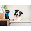 Animology Top Dog Conditioner 250ml