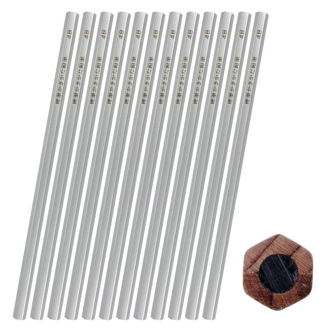 LESALPES Thick Core 4B Hard Writing Pencils, Pack of 12, Silver Axis Pencil, Hexagonal, Won't Fall Off Your Desk, Simple Design