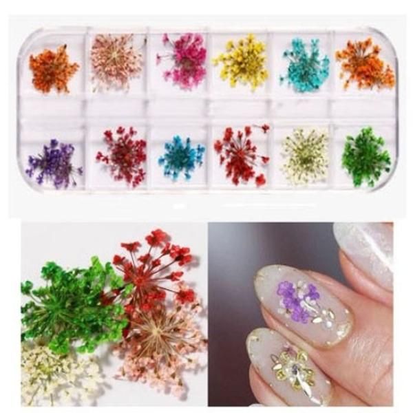 Nail flower dry flower fresh flower pressed flower dried flower gel nail 1