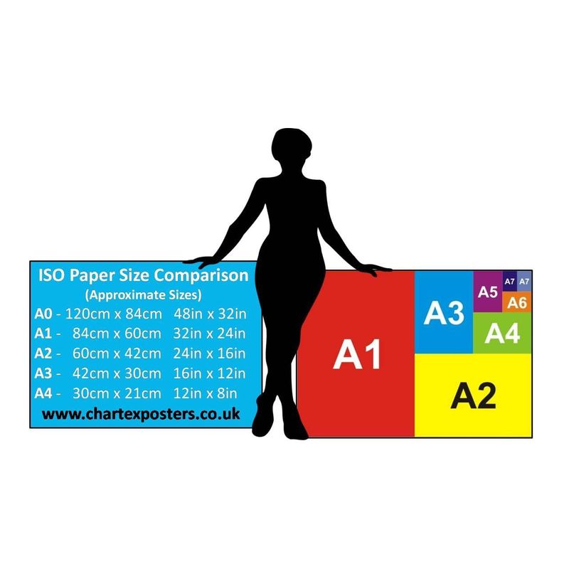 BMI Poster | A2 SIZE | Body Mass Index Chart | Printed On Waterproof ...
