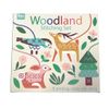 Rex London Woodland Animals Learn to Stitch Activity Set
