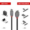 LINDY 0.5m USB 3.2 Type C to Micro-B Cable, 5Gbps, Anthra Line