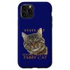 Massachusetts Territory Cat The Charming Tabby Cat Case for iPhone 11 Pro