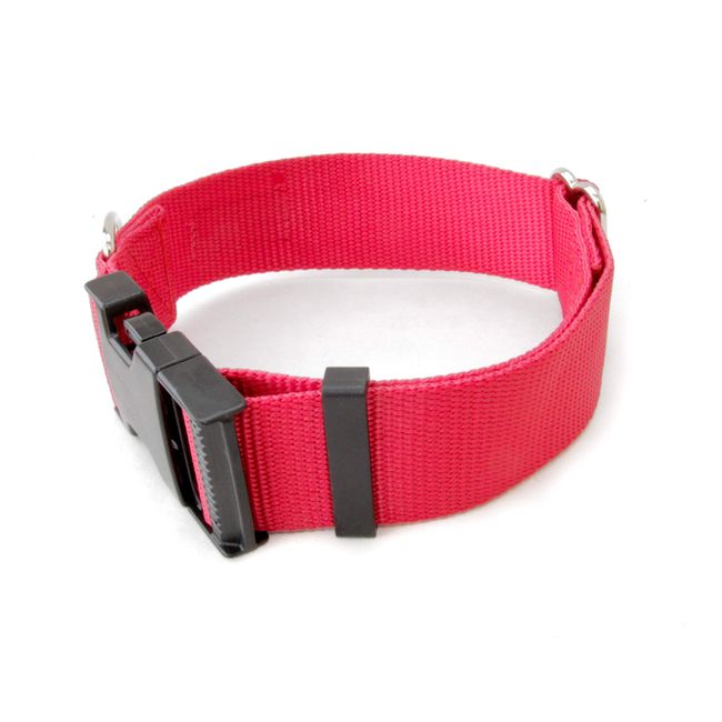 1 1/2 Inch Buckle Dog Collars - Heavy Duty Nylon ( 1.5" Width Dog Collars (Red, Large)