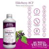Buried Treasure Elderberry ACF 16 oz, Immune Support