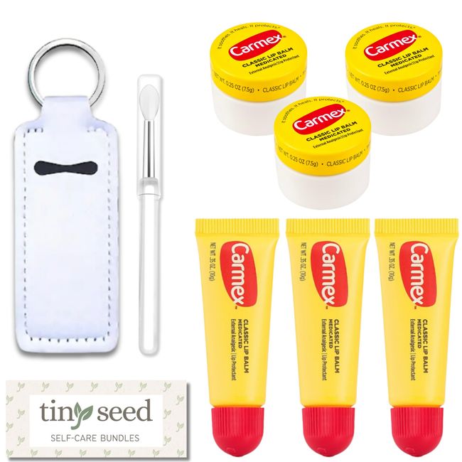 Set of 6 Medicated Lip Balms by Carmex: 3 Jars and 3 Tubes. Carmex Lip Balm Moisturizer, Trusted Relief for Dry, Chapped Lips. Bundled with Silicone Lip Brush and Lip Balm Holder Keychain (White)