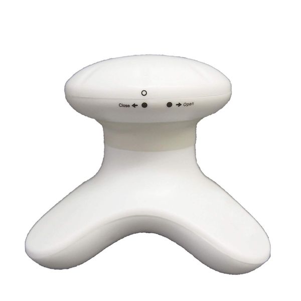 fuji pax sale brurilla