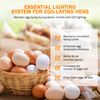 Incubator Warehouse AutoCoop LayLight2 with Smart Timer - Automatic Chicken Coop LED Daylight Extender - Chicken Coop Light with Programmable Settings for Boosting Chicken Egg Production