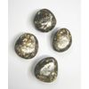 GeoFossils Biotite Hand Polished Tumble Stone 10-15mm (1)