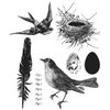 Stampers Anonymous Bird Feather Tim Holtz Cling Mounted Stamp Set,