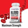 VitazenLabs Blood Sugar Plus Capsules, Official Capsules, Maxi Strength (3 Pack)