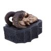 Nemesis Now Dragon Skull Box (Monte Moore) Black, 17.7cm
