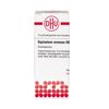DHU Equisetum arvense D6 Streukügelchen, 10 g Globuli