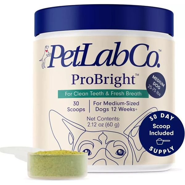 Medium Dogs Care Probright Dental Powder Dog Breath Freshener Teeth Cleaning