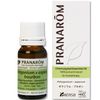 [puranaromu] Geranium Bourbon 10ml Organic