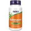 Echinacea 400 mg 100 Caps By Now Foods