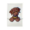 CafePress Chocolate Lab Rectangle Magnet, 2"x3" Refrigerator Magnet
