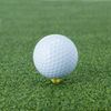 DAIYA GOLF TE-433 40 Repro Short, Blue
