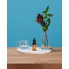 Herb Pharm Certified Organic American Ginseng Extract - 1 Ounce