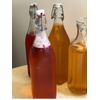 🔶IBIV Organic Live Kombucha Scoby Over 1/2 Cup Strong Starter Tea & SCOBY