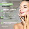Dermavitamins 100% Pure Rosemary Oil - 10ml