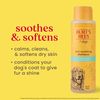 Burts Bees Itch Soothing Shampoo with Honeysuckle, 473ml, white