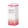 Oenanthe crocata D6 DHU Dilution, 20 ml Lösung