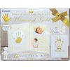 Pilot Ink, Memorial Gold, Picture-Ready Set