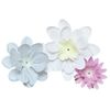 Sweets Maison OB-SMG-13-1 Candy Fizz Bath Gift, Rashas Mix