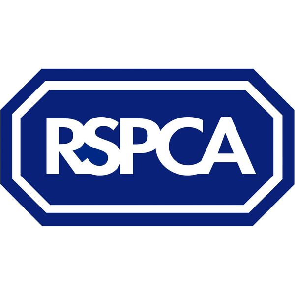 RSPCA Sensitive and Soothing Dog Shampoo