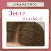Cielo Color Treatment for Retouch, Natural Brown, 4.9 oz (140 g)