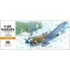 P-40N Warhawk 1/72 Hasegawa