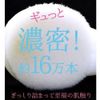 NYF-800 Face Wash Brush