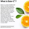 Esterc with Bioflavonoids Vegetarian Capsules 24Hour Immune Support Gentle on...
