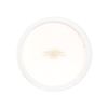 Mitsuyoshi Genuine Grease Paint Concealer, 21P (Lightest Tone), 1EA