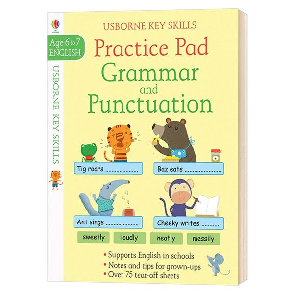 英文原版 语法与标点符号Grammar & Punctuation Practice Pad 6-7 全英文版