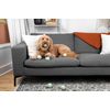 Midlee St. Patrick's Day Shamrock Dog Tennis Balls (Regular)
