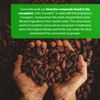 CocoaVia Heart & Brain Supplement, 30 Day, 450 mg Cocoa Flavanols, Memory & Circulation Booster, Nitric Oxide, Boost Oxygen & Energy, Plant Based, Gluten Free, Vegan, 60 Capsules