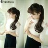 Brightlele 4040-M30 Ponytail Wig, Long, One-Touch, Extensions, Twin Tails