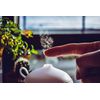 100% Pure Australian Tea Tree Oil | Diffuser Included