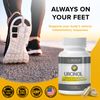 PurMEDICA Urcinol Uric Acid Supplement - Gout Support for Joint Mobility & Flare Ups - Uric Acid Control Gout Vitamins w/ Turmeric Root, Banaba Leaf, Celery Seed, Yucca Stalk, 60ct Gout Supplement