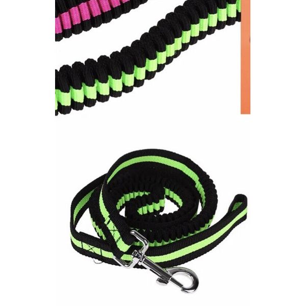 Nylon Cord Bungee Stretchable Pet Leash Black & Green (48" length)