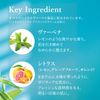 L'OCCITANE Citrus Verbena Body Milk, 8.4 fl. oz.