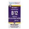 B-12, B-6 & Folic Acid, 100 MicroLingual Instant Dissolve Tablets