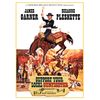 Support Your Local Gunfighter [DVD]