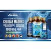 STEM CELL ENHANCER 60 CAPS, REGEN CELULAS MADRES bio CELL MADRE 1000 MG