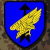 Copytec Patch/Aufnäher - DSO Patch Bundeswehr Division Spezielle Spezial #7485