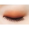 excel Skinny Rich Eye Shadow SR05 Warm Brown