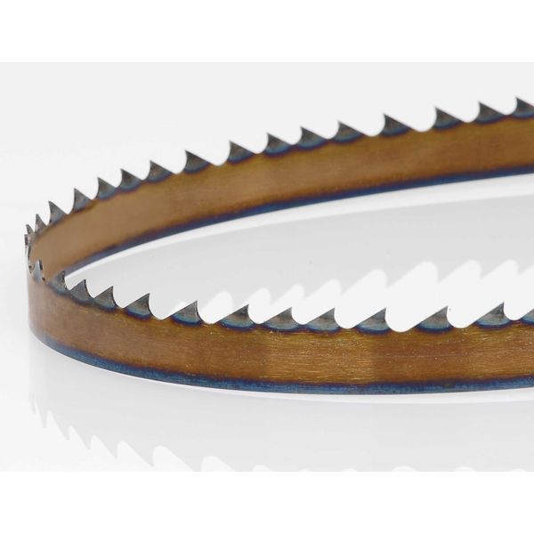 Timber Wolf Bandsaw Blade 3/4" X 131.5", 2-3 TPI